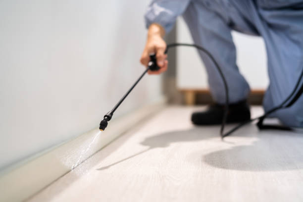 Licensed Mosquito Control service in Norwood, NC - Show Me Pest Control
