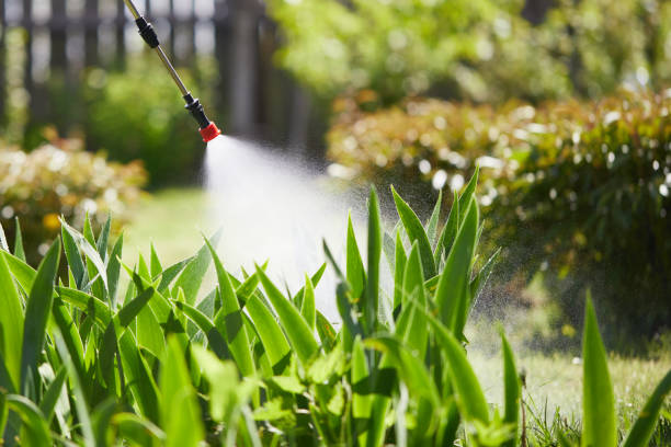 24/7 Emergency Mosquito Control experts in Norwood, NC