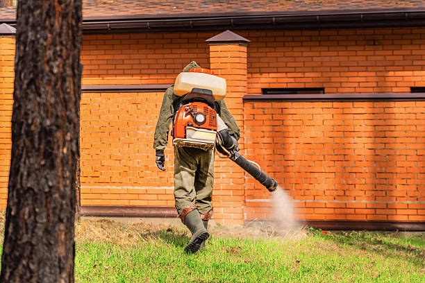 Top rated local Mosquito Control specialists in Norwood, NC